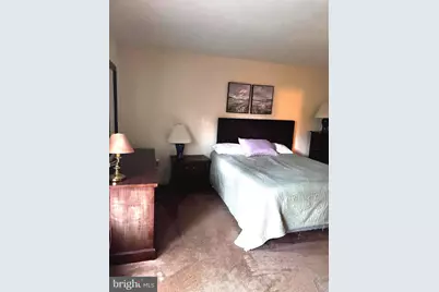 529 King Street, Basye, VA 22810 - Photo 40
