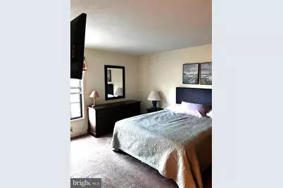 529 King Street, Basye, VA 22810 - Photo 42