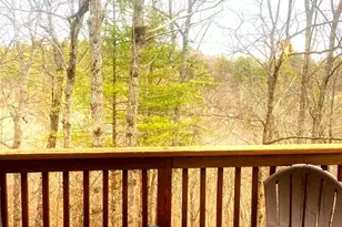 529 King St, Basye, VA 22810 - Photo 4