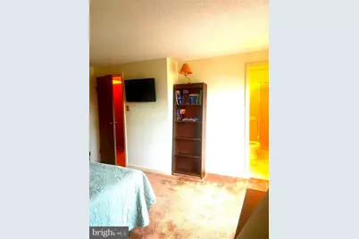 529 King Street, Basye, VA 22810 - Photo 26
