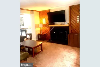 529 King Street, Basye, VA 22810 - Photo 16