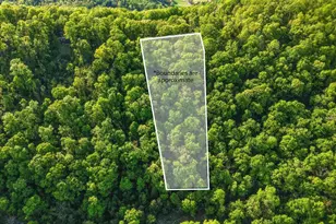 816 Hilltop Ln, Mount Jackson, VA 22842 - Photo 4