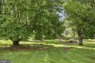 716 S Water St, Woodstock, VA 22664 - Photo 30