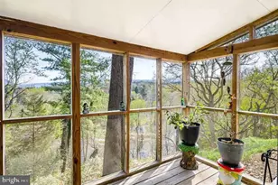 574 Jiggady Rd, New Market, VA 22844 - Photo 66