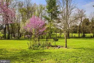 574 Jiggady Rd, New Market, VA 22844 - Photo 56