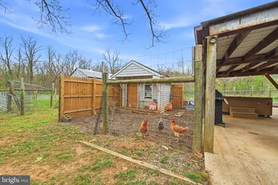 772 Pinewoods Road, Quicksburg, VA 22847 - Photo 28