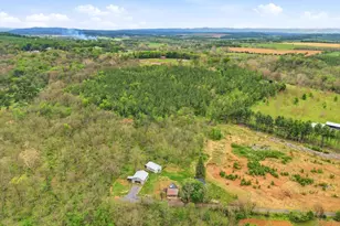 772 Pine Woods Rd, Quicksburg, VA 22847 - Photo 48