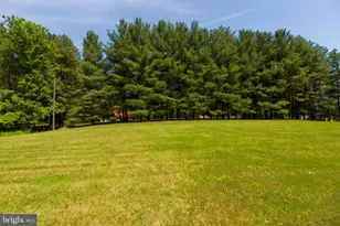 13042 Old Valley Pike, Edinburg, VA 22824 - Photo 4