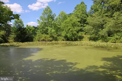 2332 Alum Springs Road, Basye, VA 22810 - Photo 42