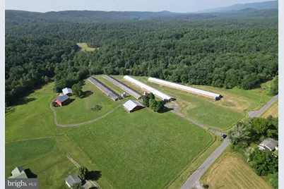 2332 Alum Springs Road, Basye, VA 22810 - Photo 4