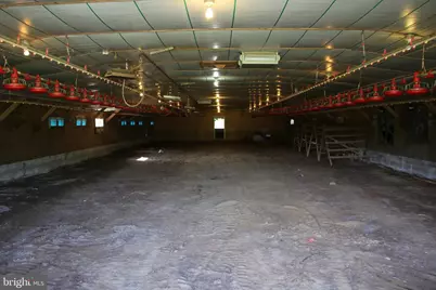 2332 Alum Springs Road, Basye, VA 22810 - Photo 28