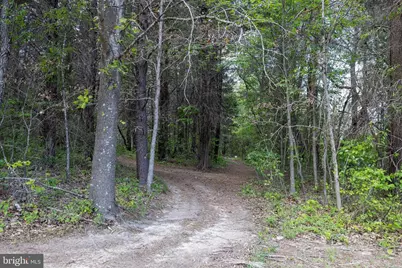 Boliver Road, Fort Valley, VA 22652 - Photo 14