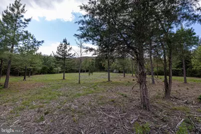 Boliver Road, Fort Valley, VA 22652 - Photo 20