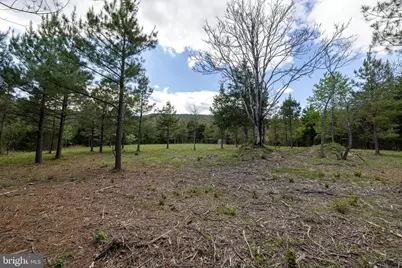 Boliver Road, Fort Valley, VA 22652 - Photo 18