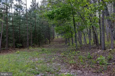 Boliver Road, Fort Valley, VA 22652 - Photo 24