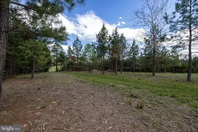 Boliver Road, Fort Valley, VA 22652 - Photo 12