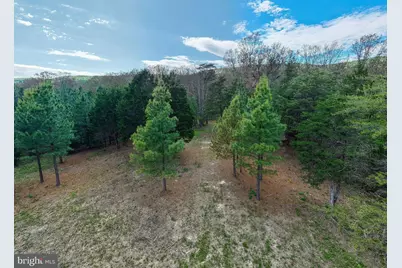 Boliver Road, Fort Valley, VA 22652 - Photo 10