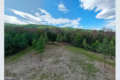 Boliver Road, Fort Valley, VA 22652 - Photo 4