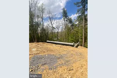 Tbd Lark Court, Basye, VA 22810 - Photo 4