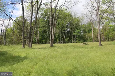Ridge Hollow Road, Edinburg, VA 22824 - Photo 4