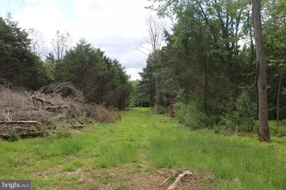 Ridge Hollow Road, Edinburg, VA 22824 - Photo 28