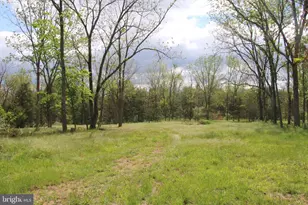 Ridge Hollow Rd, Edinburg, VA 22824 - Photo 1