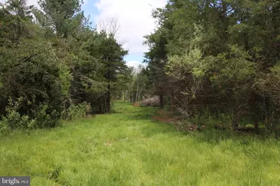 Ridge Hollow Road, Edinburg, VA 22824 - Photo 22