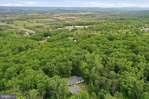 165 Fox Haven Ln, New Market, VA 22844 - Photo 40