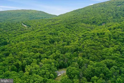 165 Fox Haven Lane, New Market, VA 22844 - Photo 42