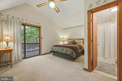 309 Locust Lane, Mount Jackson, VA 22842 - Photo 42
