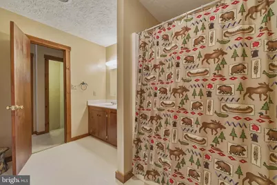 309 Locust Lane, Mount Jackson, VA 22842 - Photo 36