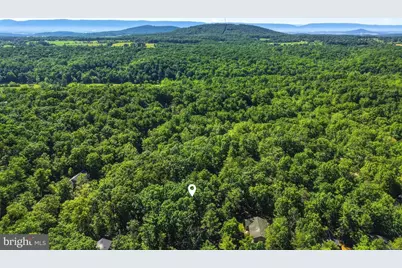 309 Locust Lane, Mount Jackson, VA 22842 - Photo 56
