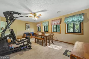 309 Locust Ln, Mount Jackson, VA 22842 - Photo 46