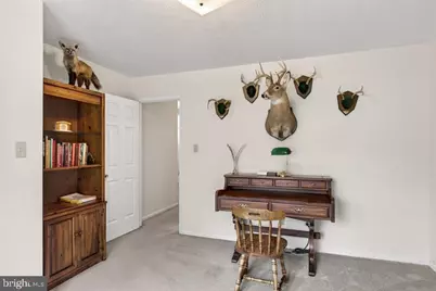 2220 Pinewoods Road, Quicksburg, VA 22847 - Photo 52