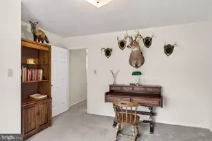 2220 Pine Woods Rd, Quicksburg, VA 22847 - Photo 52