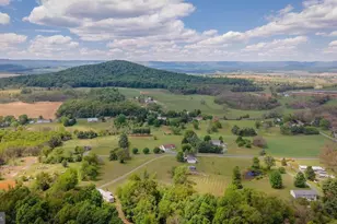 2220 Pine Woods Rd, Quicksburg, VA 22847 - Photo 16