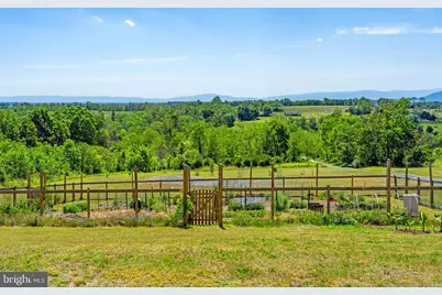 384 Lindamood Lane, Strasburg, VA 22641 - Photo 52