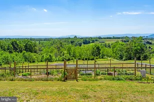 384 Lindamood Ln, Strasburg, VA 22641 - Photo 52