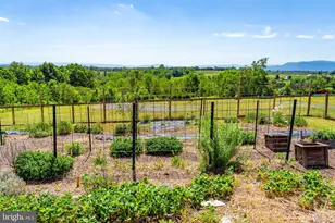 384 Lindamood Ln, Strasburg, VA 22641 - Photo 58
