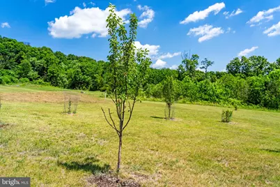 384 Lindamood Lane, Strasburg, VA 22641 - Photo 60