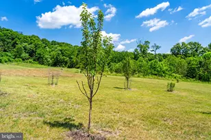 384 Lindamood Ln, Strasburg, VA 22641 - Photo 60
