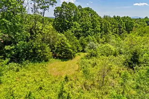 384 Lindamood Ln, Strasburg, VA 22641 - Photo 62