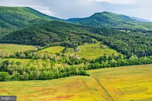 795 Hideaway Farms Rd, Edinburg, VA 22824 - Photo 42