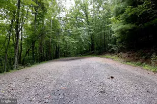 Lot 168 Forest Ridge Trail, Fort Valley, VA 22652 - Photo 1