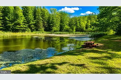 Lot 168 Forest Ridge Trail, Fort Valley, VA 22652 - Photo 8