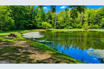 Lot 170 Forest Ridge Trail, Fort Valley, VA 22652 - Photo 8