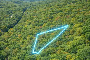 Lot 170 Forest Ridge Trail, Fort Valley, VA 22652 - Photo 1