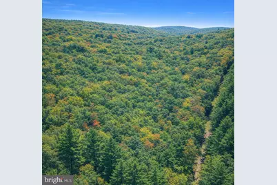 Lot 170 Forest Ridge Trail, Fort Valley, VA 22652 - Photo 2