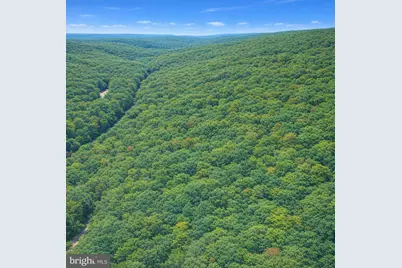 Lot 170 Forest Ridge Trail, Fort Valley, VA 22652 - Photo 4