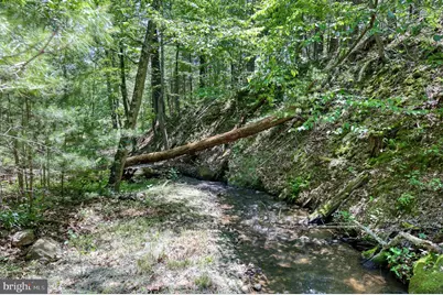 Sugar Hill Road Tbd, Maurertown, VA 22644 - Photo 32